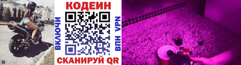 Codein Purple Drank  Купить закладки  Оренбург 