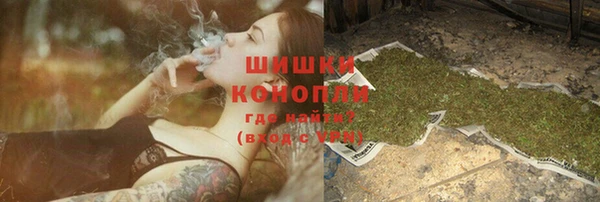 ПСИЛОЦИБИНОВЫЕ ГРИБЫ Чегем