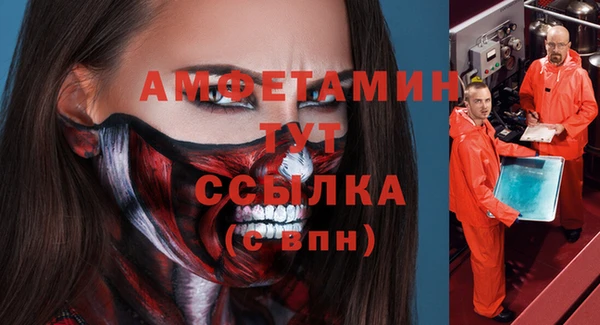 ПСИЛОЦИБИНОВЫЕ ГРИБЫ Чегем